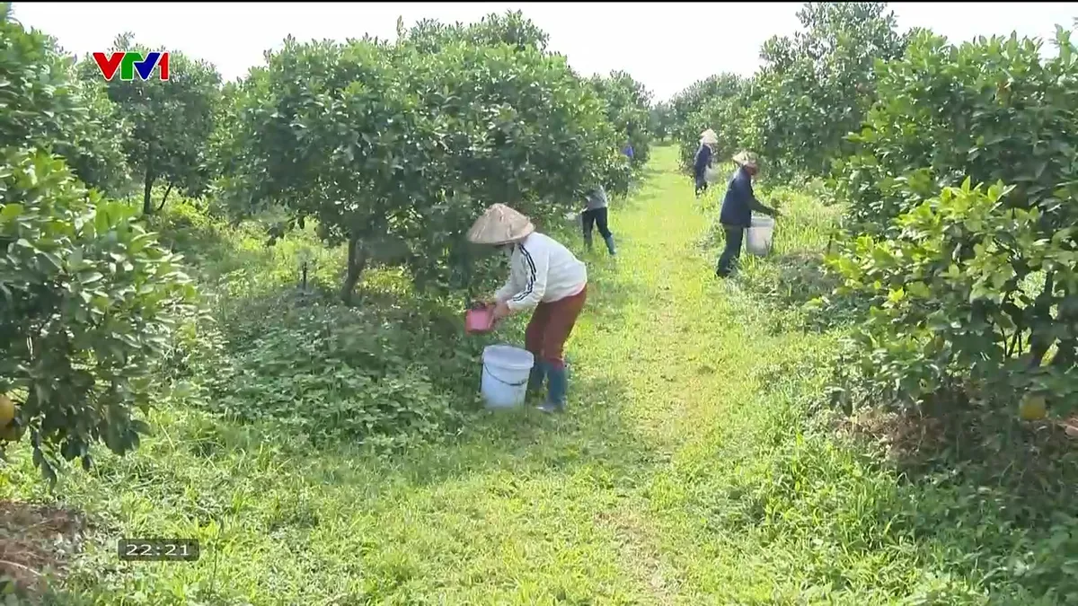 Gần 120.000 hecta đất nông nghiệp bị thoái hóa và giải pháp quản lý đất bền vững - Ảnh 4.