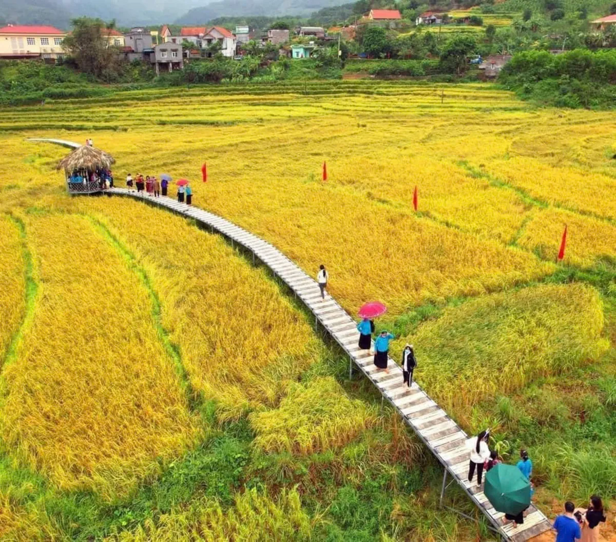 Quảng Ninh: Sôi nổi khai mạc lễ hội Mùa vàng miền soóng cọ tại huyện Tiên Yên - Ảnh 7.