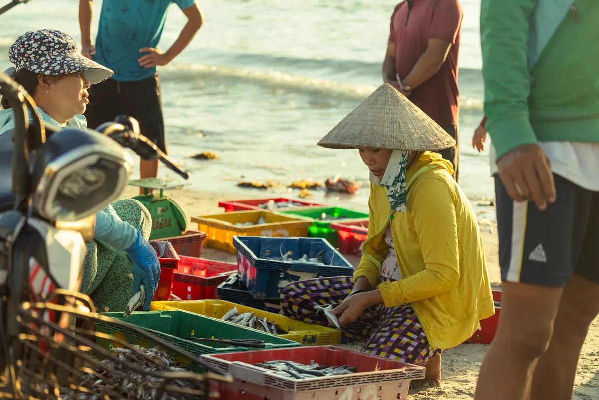 Về Ninh Thuỷ, khám phá chợ cá và tận hưởng cuộc sống miền biển - Ảnh 7.