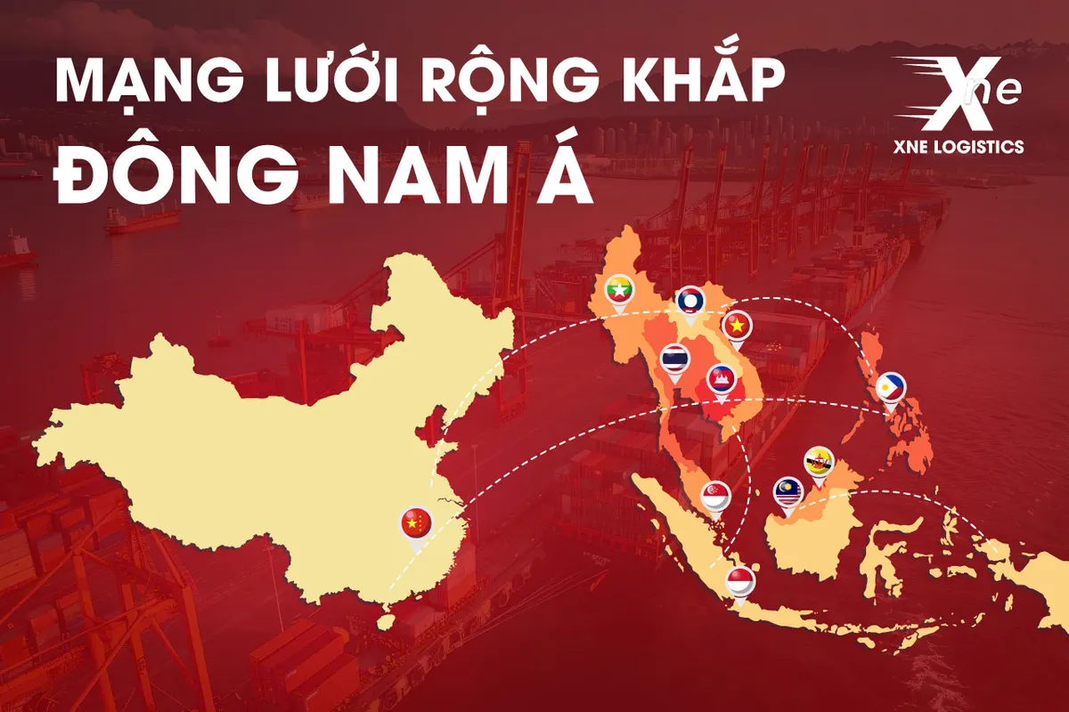 XNE Logistics & Founder Nguyễn Gia Vinh v&agrave; c&acirc;u chuyện đơn vị hậu cần chinh phục ch&acirc;u &Aacute; - Ảnh 2.