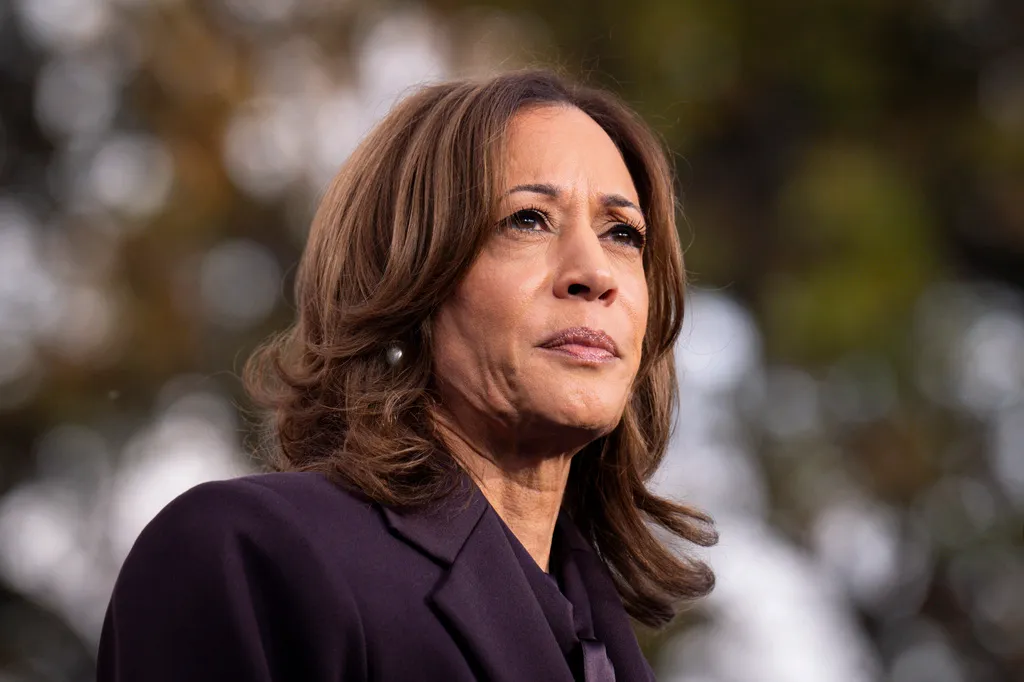 Ứng cử viên Kamala Harris chấp nhận thất bại - Ảnh 1.