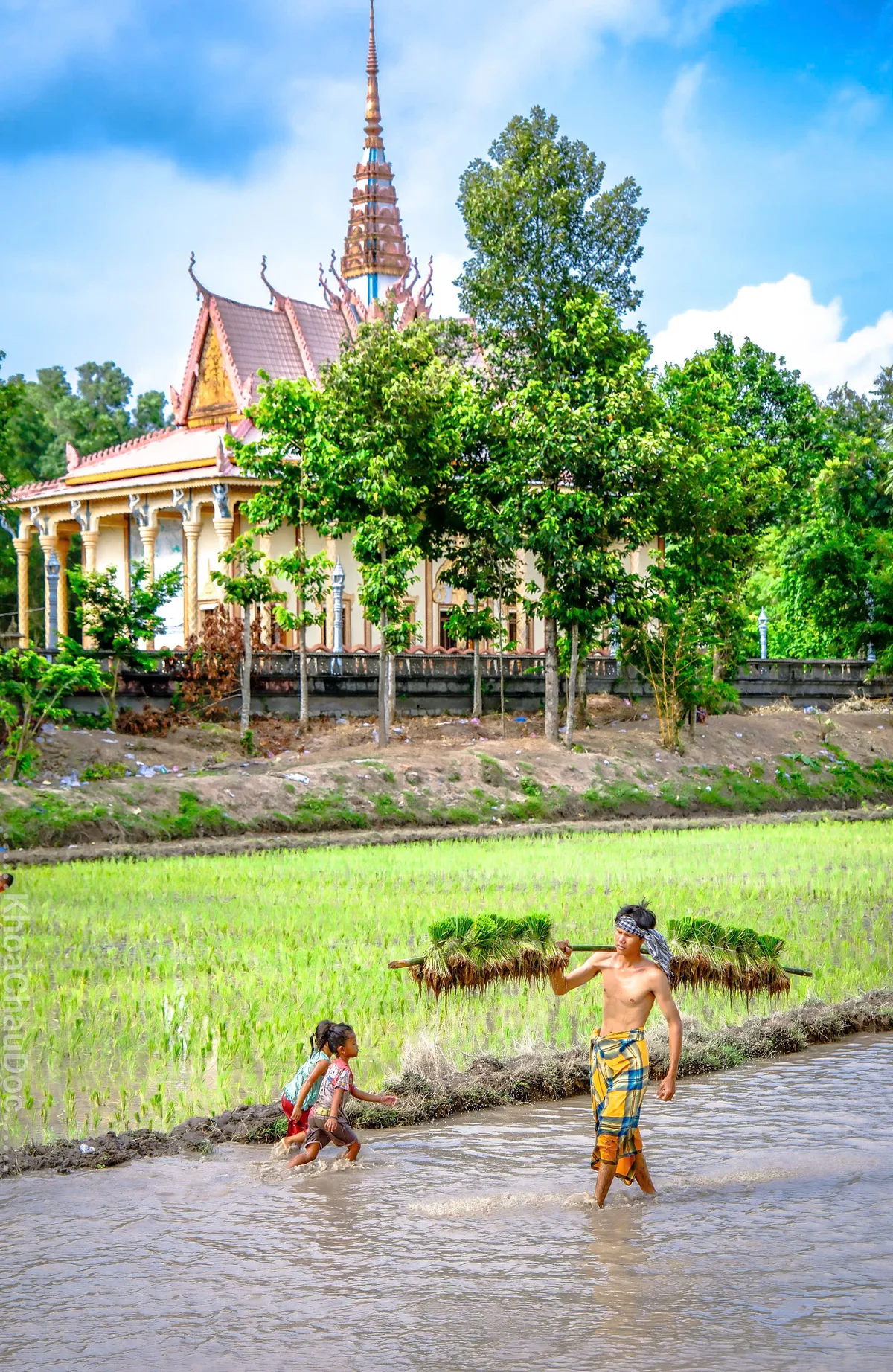 Ngày hội xuống đồng của đồng bào Khmer - Ảnh 10.