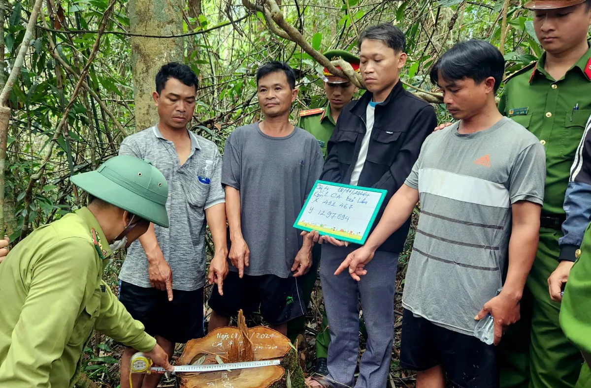 Lâm Đồng: Khen thưởng đột xuất lực lượng phá án vụ khai thác gỗ quý trái phép - Ảnh 3.