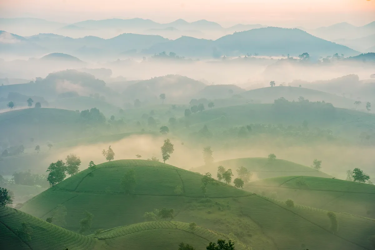 Ngắm dải Ngân hà trong màn đêm và đón bình minh bồng bềnh ở đồi chè Long Cốc - Ảnh 2.