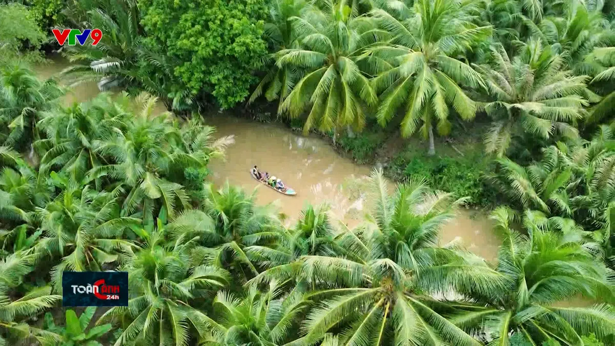 Hồn quê nơi xứ dừa Hồn quê nơi xứ dừa