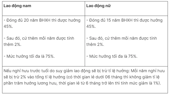 Cách tính lương hưu năm 2025 đối với nguời tham gia BHXH bắt buộc và BHXH tự nguyện - Ảnh 1.