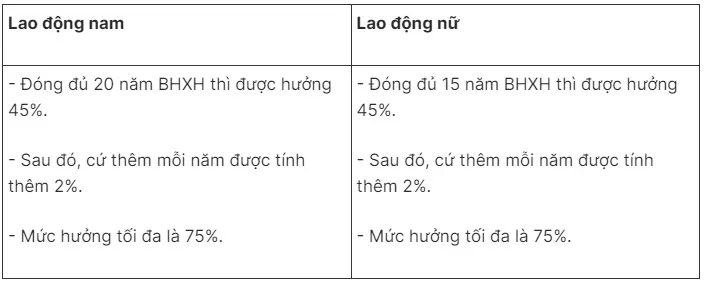 Cách tính lương hưu năm 2025 đối với nguời tham gia BHXH bắt buộc và BHXH tự nguyện - Ảnh 2.