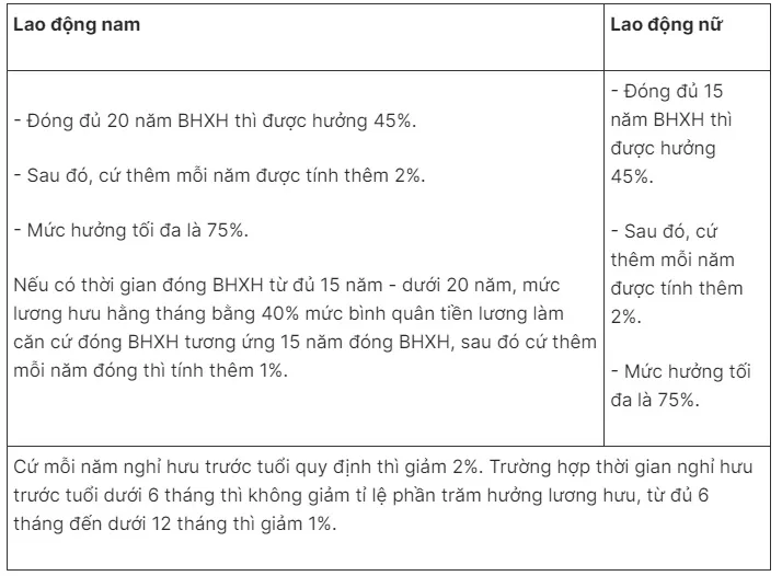 Cách tính lương hưu năm 2025 đối với nguời tham gia BHXH bắt buộc và BHXH tự nguyện - Ảnh 3.