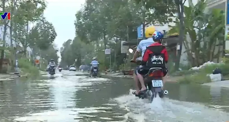 Triều cường dâng cao nhất trong 44 năm qua ở Bạc Liêu - Ảnh 1.