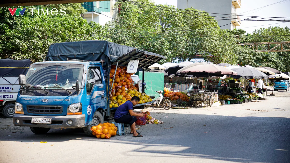 Hà Nội: Xóa bỏ các điểm kinh doanh trái cây tự phát không bảo đảm điều kiện an toàn thực phẩm - Ảnh 1.