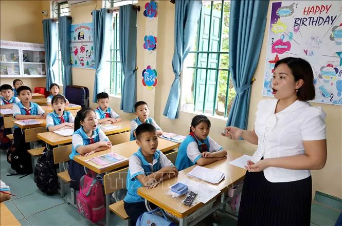 Th&aacute;i B&igrave;nh: Bảo tồn di sản văn h&oacute;a gắn liền với ph&aacute;t triển du lịch - Ảnh 3.