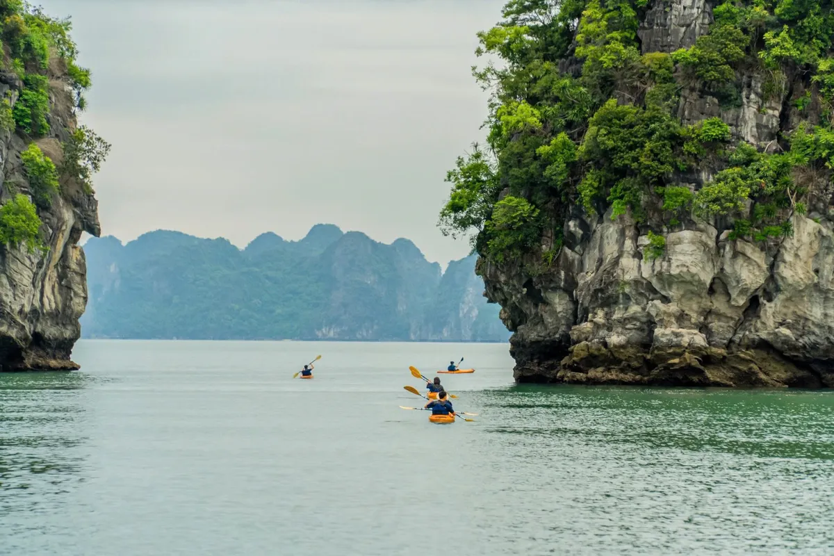 Grand Pioneers được vinh danh là Hãng Du Thuyền Xanh Tốt Nhất Thế Giới 2024 - Ảnh 3.