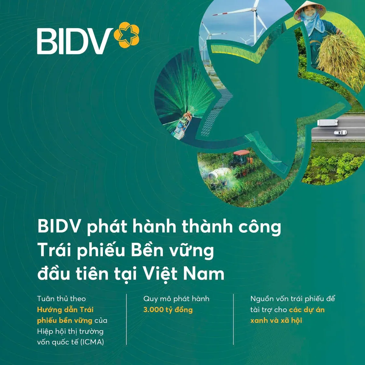 BIDV v&agrave; The Moneyverse: H&agrave;nh tr&igrave;nh gi&aacute;o dục t&agrave;i ch&iacute;nh gắn liền tr&aacute;ch nhiệm x&atilde; hội - Ảnh 4.