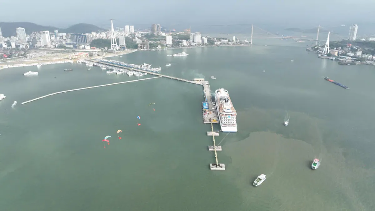 Hơn 50 t&agrave;u du lịch quốc tế đ&atilde; đăng k&yacute; đến Quảng Ninh trong năm 2025 - Ảnh 3.
