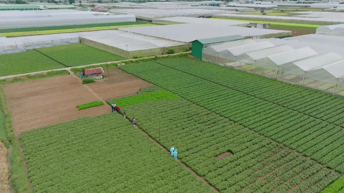 eHerbal- ước mơ th&uacute;c đẩy n&ocirc;ng sản Việt gắn liền với việc tu&acirc;n thủ c&aacute;c quy định ph&aacute;p luật - Ảnh 5.