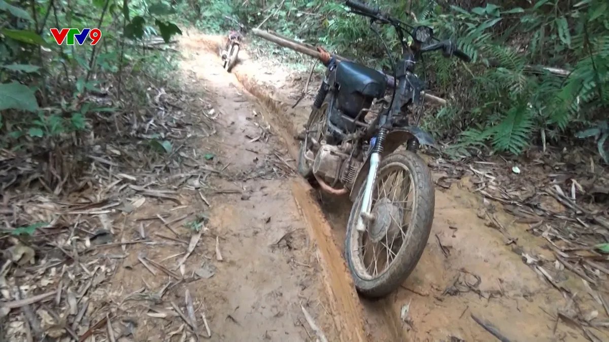 0912- PNHN-.02_21_33_21.Still2133.jpg