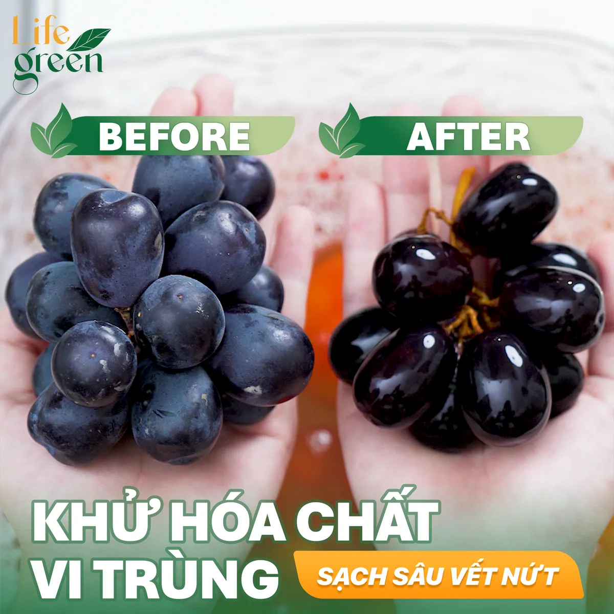 Life Green - Thương hiệu Việt ti&ecirc;n phong trong lĩnh vực nước rửa rau củ quả - Ảnh 2.
