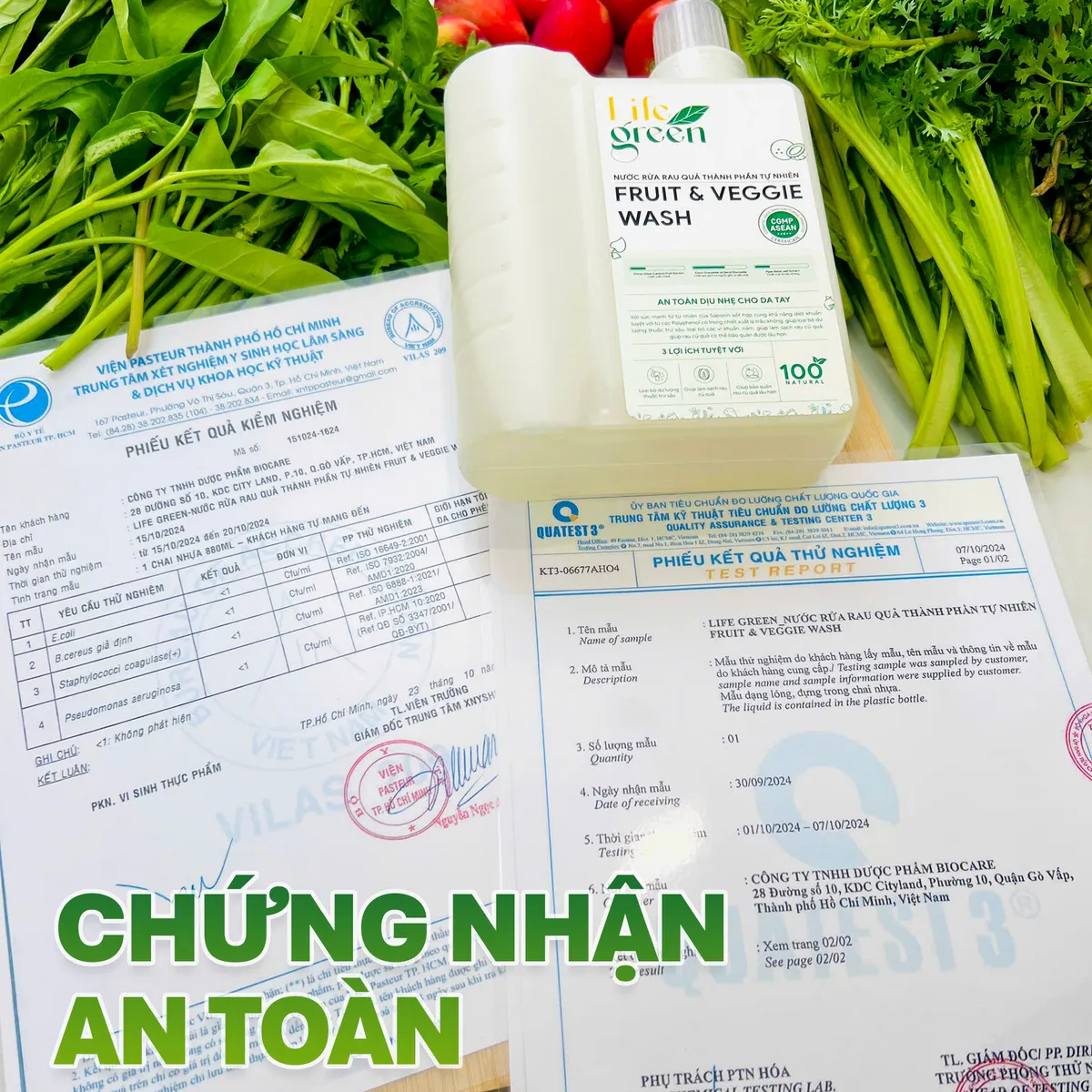 Life Green - Thương hiệu Việt ti&ecirc;n phong trong lĩnh vực nước rửa rau củ quả - Ảnh 4.