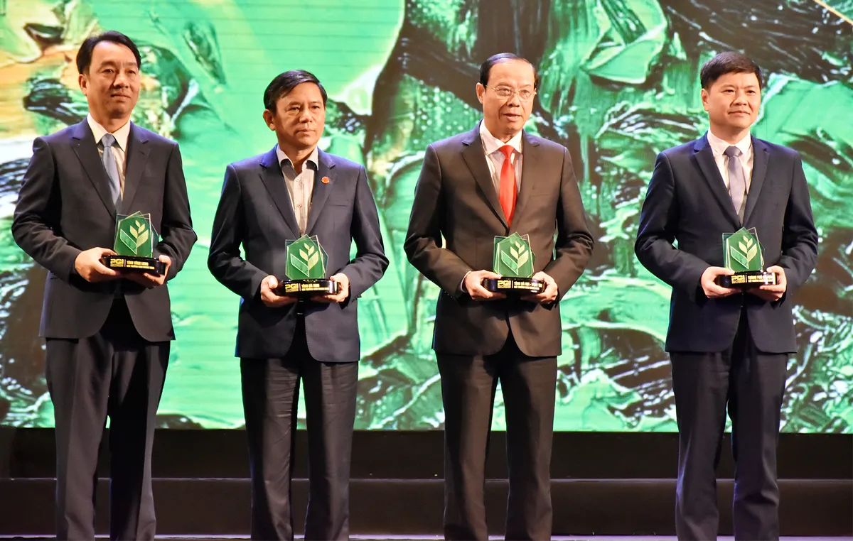 B&agrave; Rịa - Vũng T&agrave;u: Nhiều nỗ lực&nbsp;n&acirc;ng cao chỉ số xanh cấp tỉnh  - Ảnh 2.