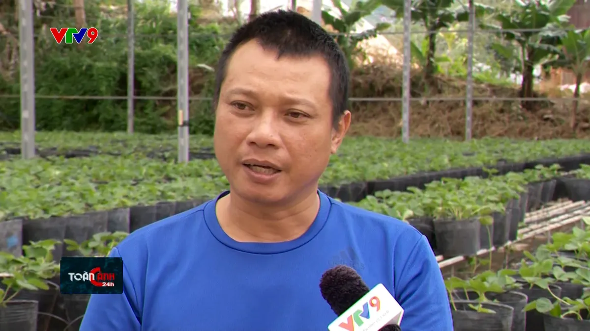 TC24H-1212-17 Hoang Anh.jpg
