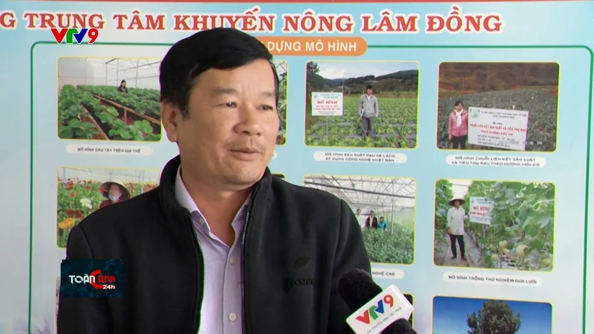 TC24H-1212-17 Quang Lập.jpg
