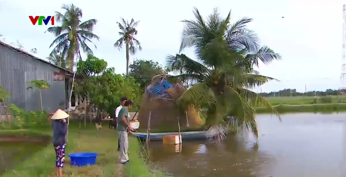 Trà Vinh: Về Cồn Chim sống thuận thiên - Ảnh 1.