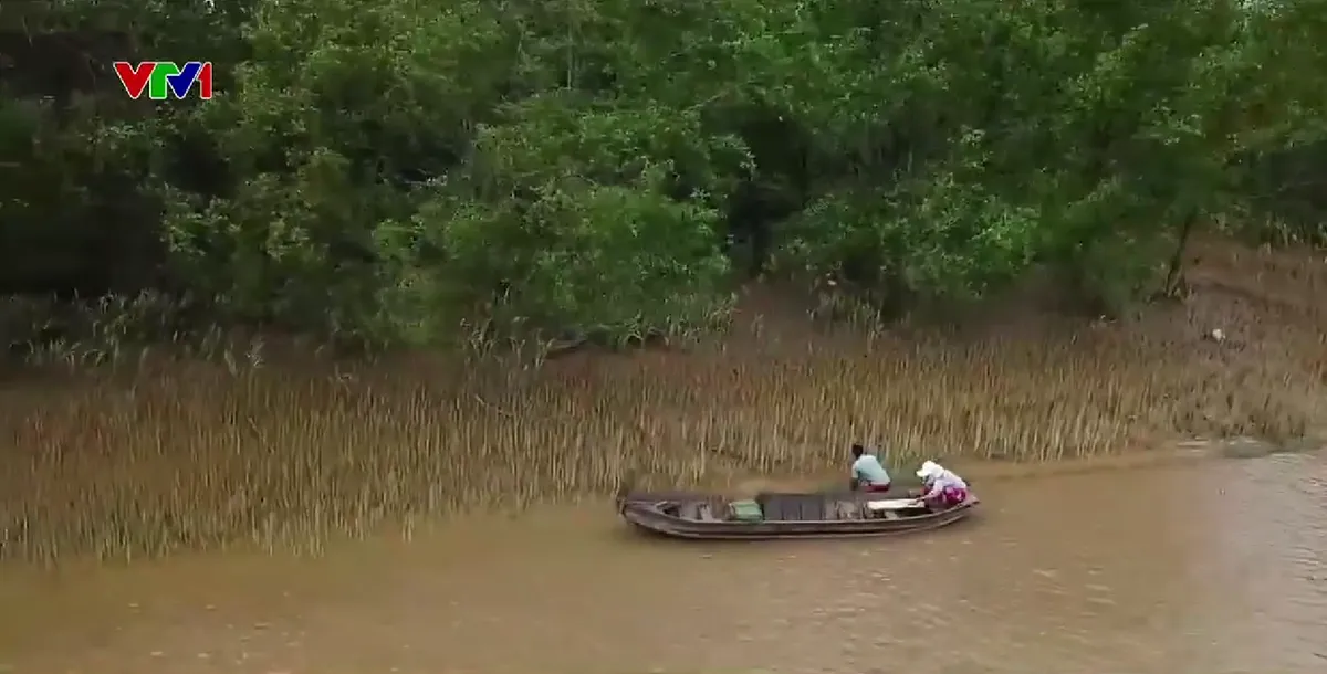 Trà Vinh: Về Cồn Chim sống thuận thiên - Ảnh 2.