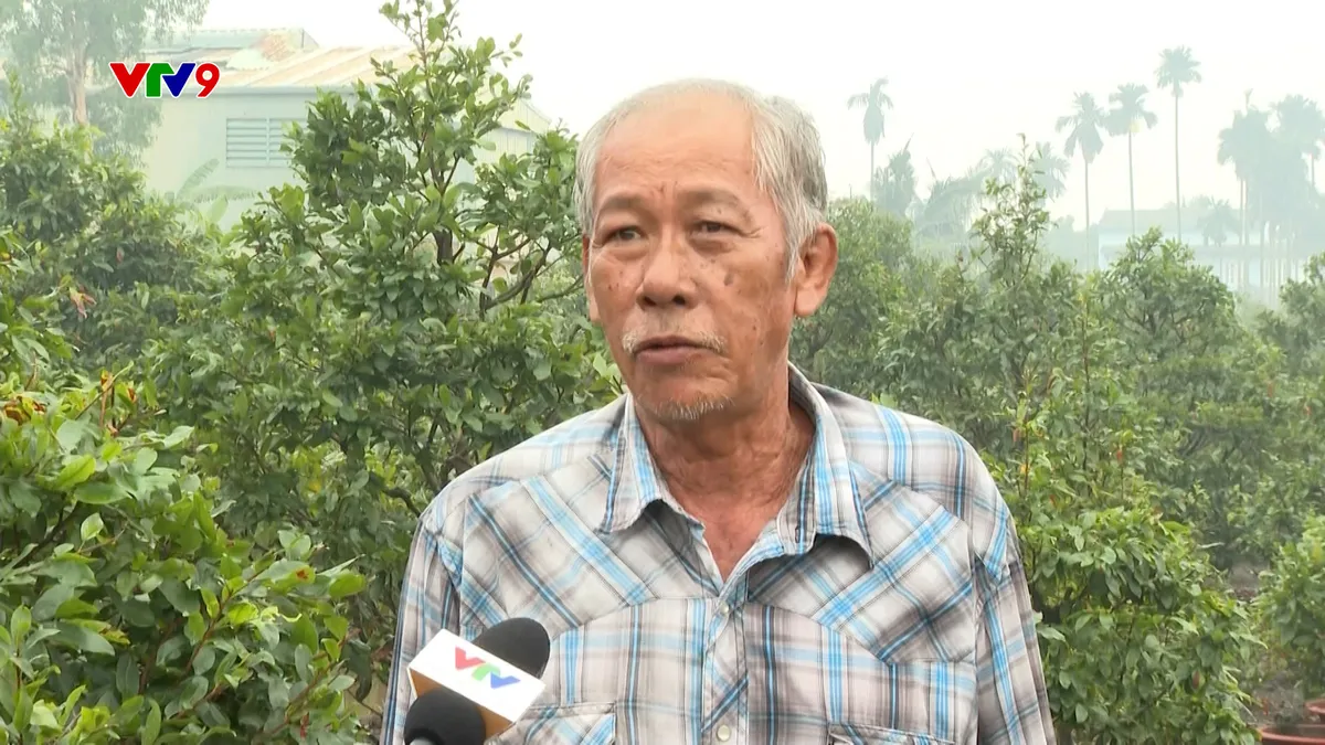 1612- PNHN-.NGUYE VAN TAM-Nhà vườn trồng mai lo lắng vì thời tiết .jpg