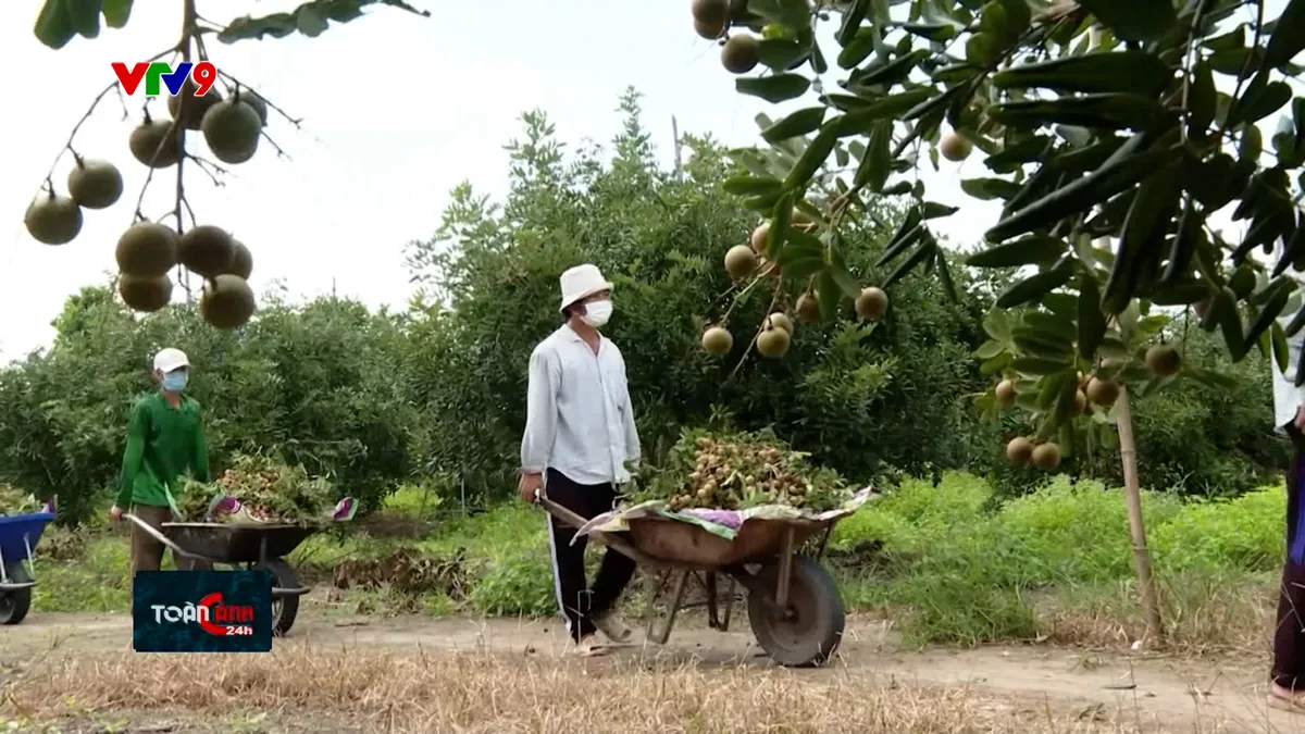 Hợp tác xã -Tạo “sức bật” cho kinh tế nông nghiệp Hợp tác xã -Tạo “sức bật” cho kinh tế nông nghiệp