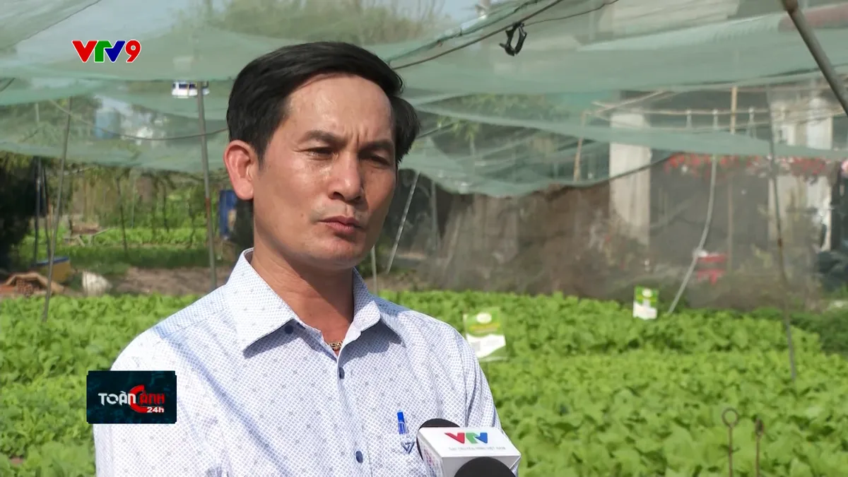 TC24H-1612-19 mai v khánh.jpg