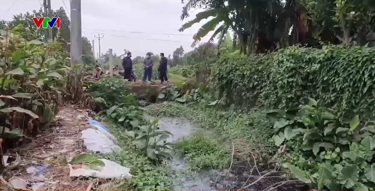 Người dân thuê máy múc, đổ đất chặn dòng kênh chứa đầy chất thải chăn nuôi - Ảnh 2.