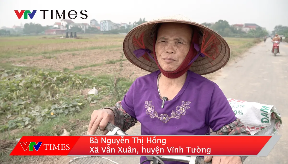 Tình trạng ô nhiễm môi trường tại Cụm công nghiệp Yên Đồng (Vĩnh Phúc) - Ảnh 3.