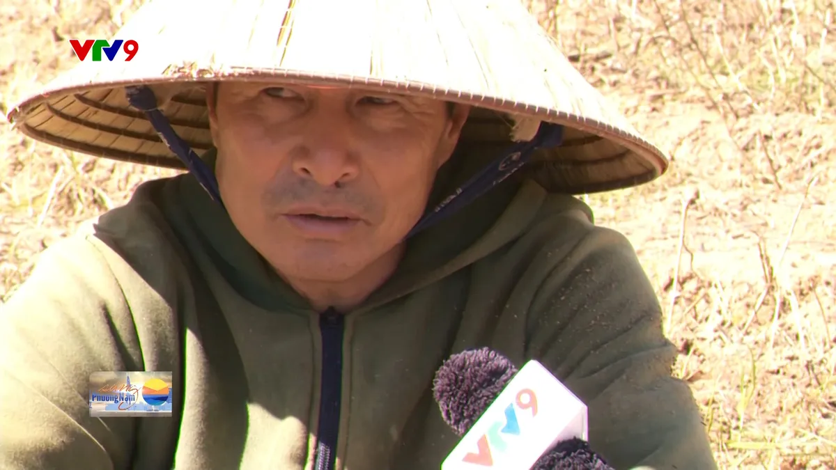 2412- SPN -HUYNNH NHUNG- THIEU HUT RAU.jpg