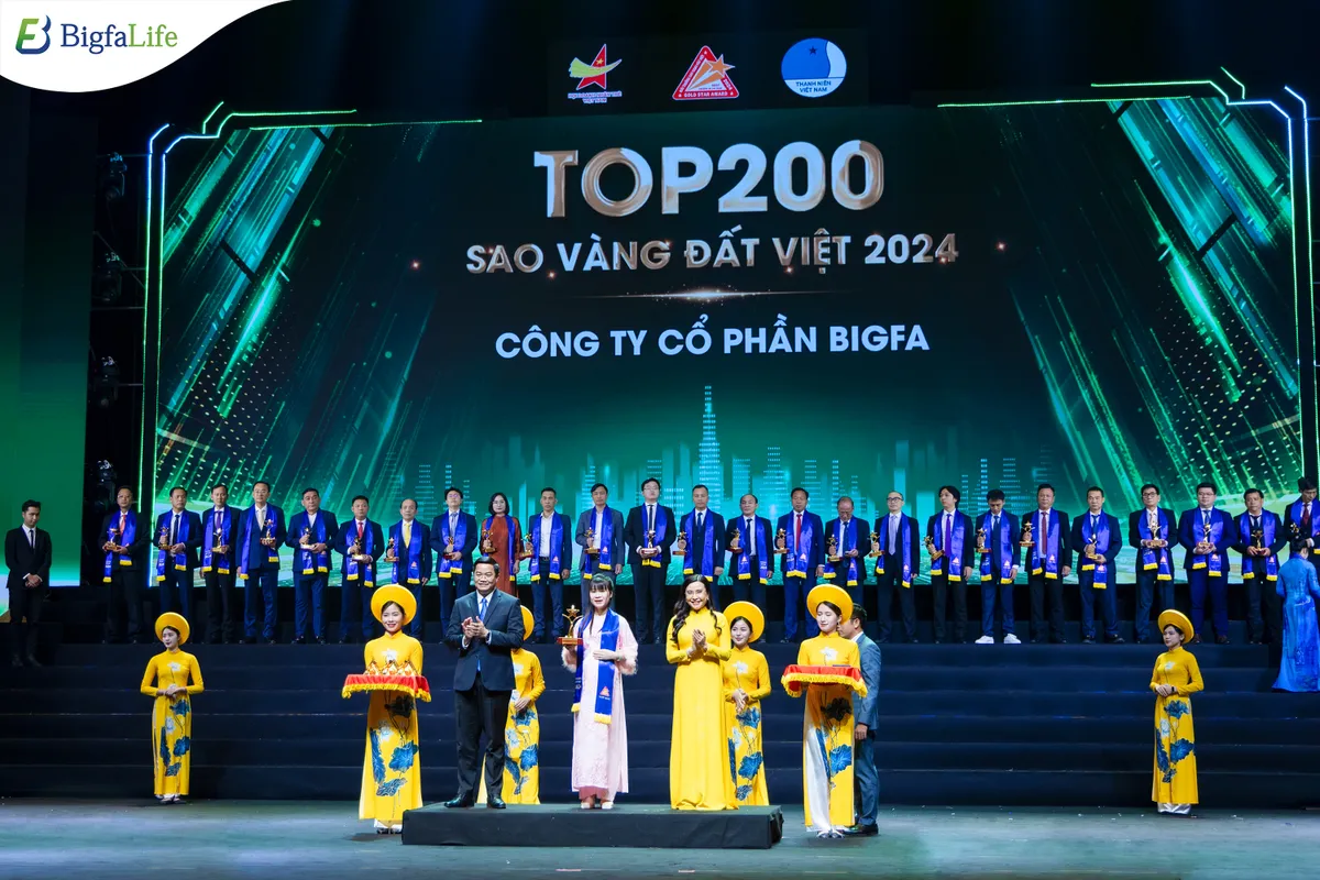 Bigfa vinh dự đón nhận giải thưởng Top 200 Doanh nghiệp Sao Vàng Đất Việt 2024 - Ảnh 1.