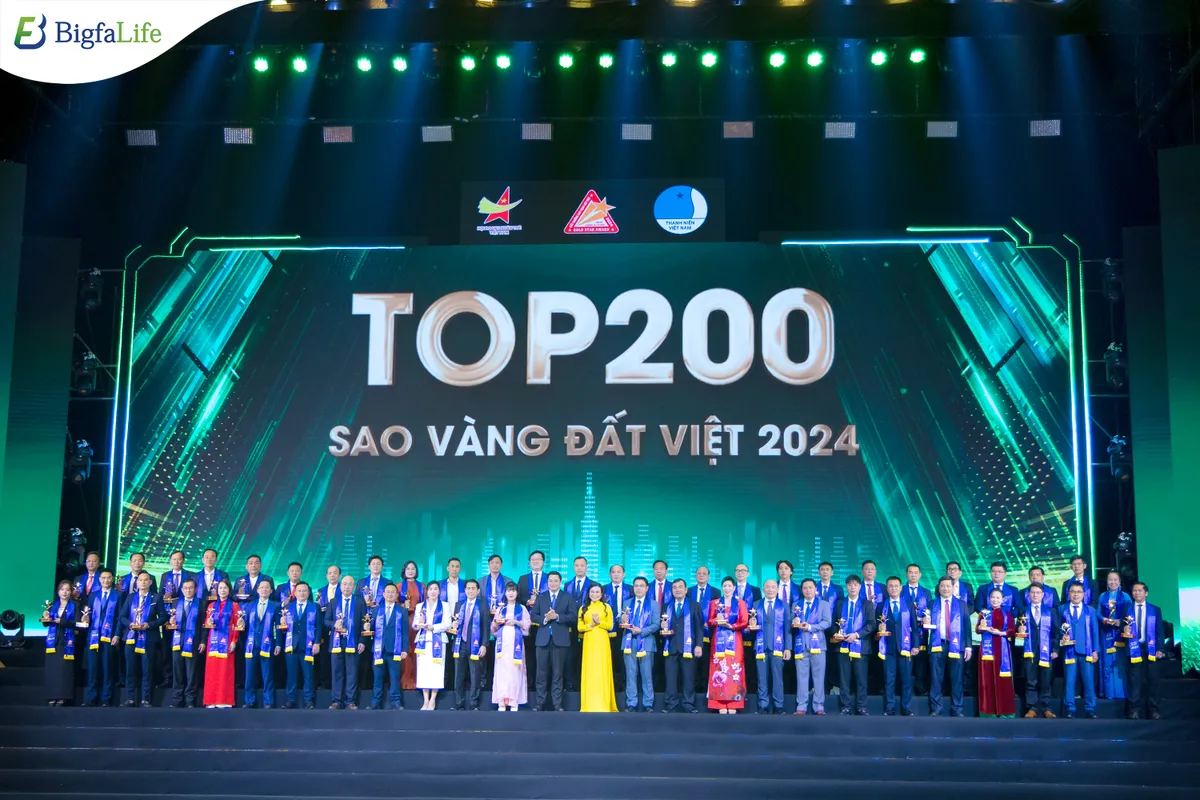 Bigfa vinh dự đón nhận giải thưởng Top 200 Doanh nghiệp Sao Vàng Đất Việt 2024 - Ảnh 3.