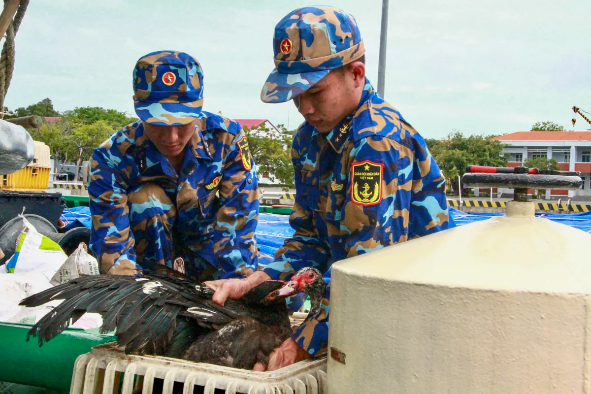 Tiễn đoàn công tác thực hiện nhiệm vụ và chúc tết quân, dân quần đảo Trường Sa - Ảnh 2.