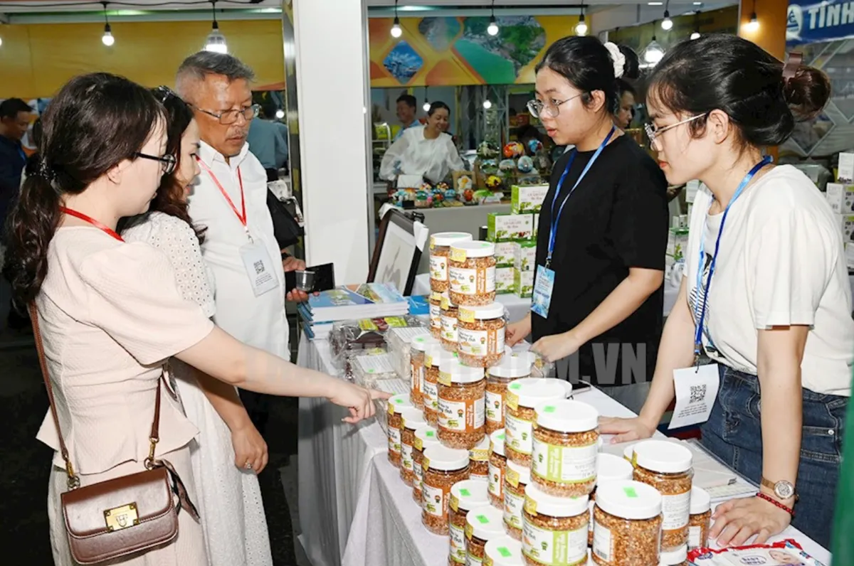 TP Hồ Chí Minh: Phát động Chương trình “Tick xanh trách nhiệm” - Ảnh 2.