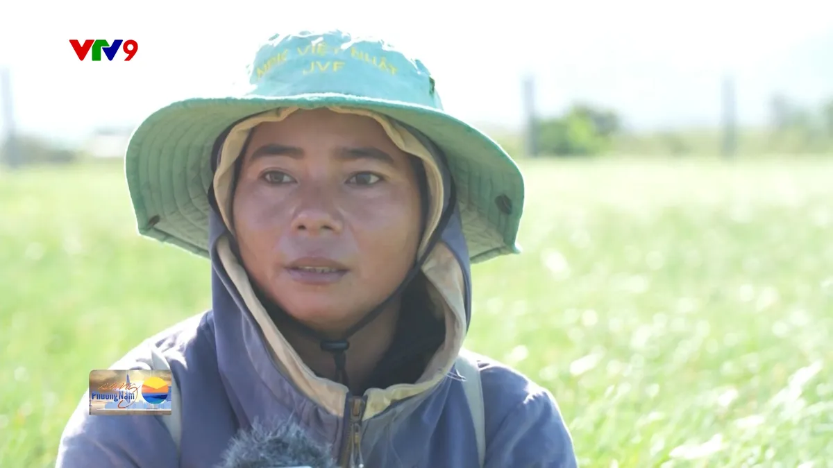 3012- SPN -NANG THI NGAN-Phủ xanh đất cằn nhờ hệ thống thủy lợi.jpg