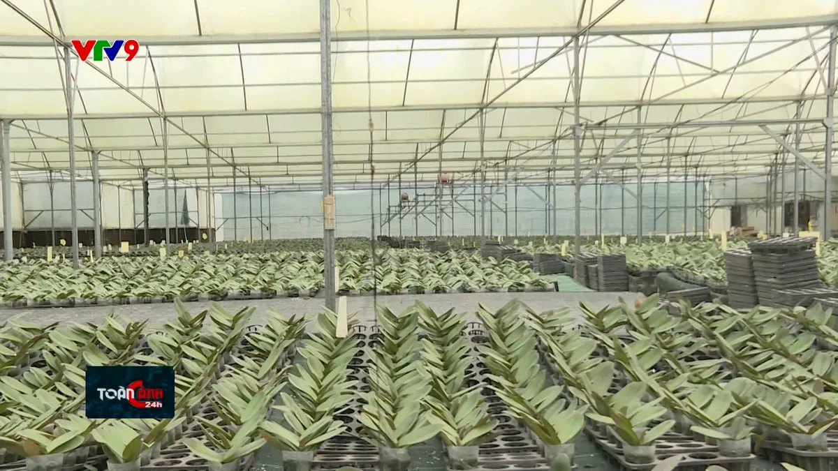 Đồng Nai phát triển nông sản theo chuỗi giá trị hàng hóa