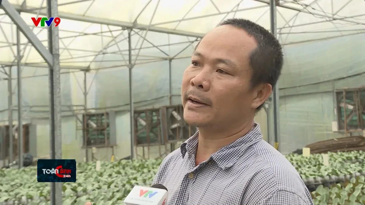 TC24H-3012-15 viet khoa.jpg