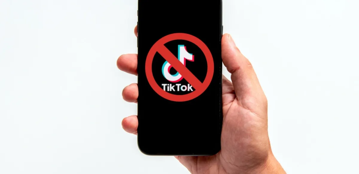 Điều gì xảy ra sau lệnh cấm TikTok? - Ảnh 2.