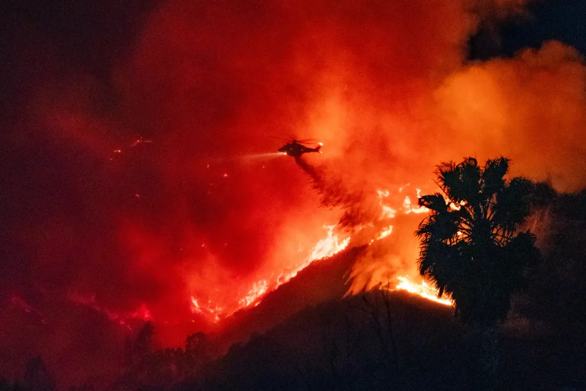 Lời kể của nữ diễn viên thoát khỏi thảm hoạ cháy rừng ở Los Angeles - Ảnh 1.