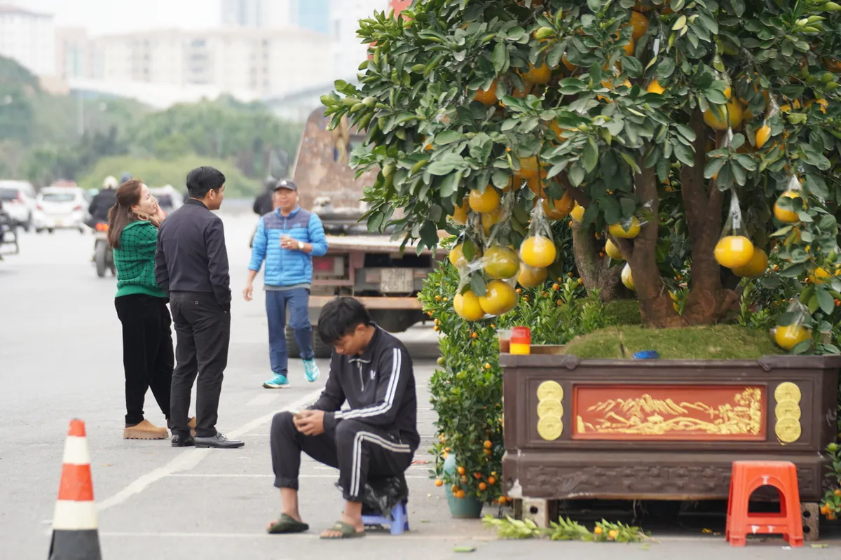 Đào, quất ngập tràn đường phố Hà Nội  - Ảnh 2.