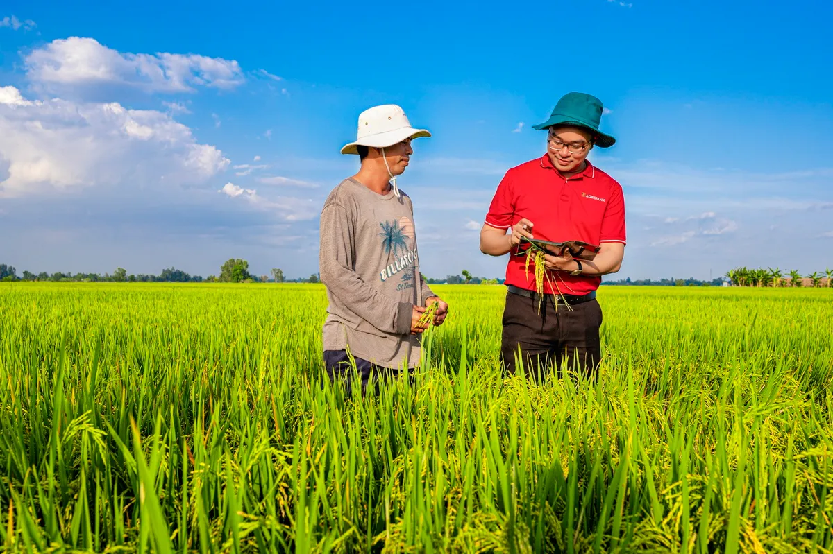 Nông nghiệp điểm tựa của nền kinh tế - Ảnh 3.