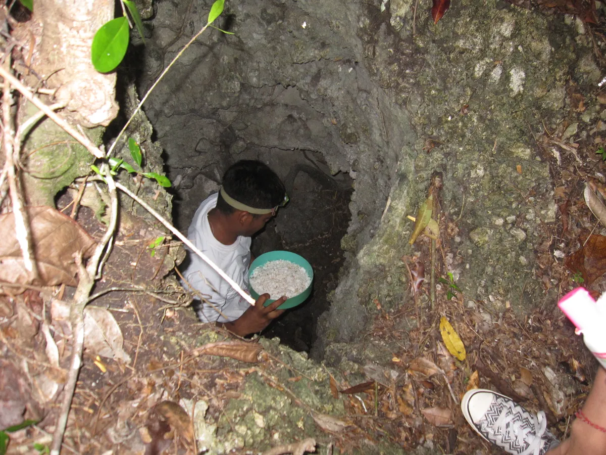 Quần đảo Togean: Nơi xa xôi tuyệt vời  - Ảnh 3.