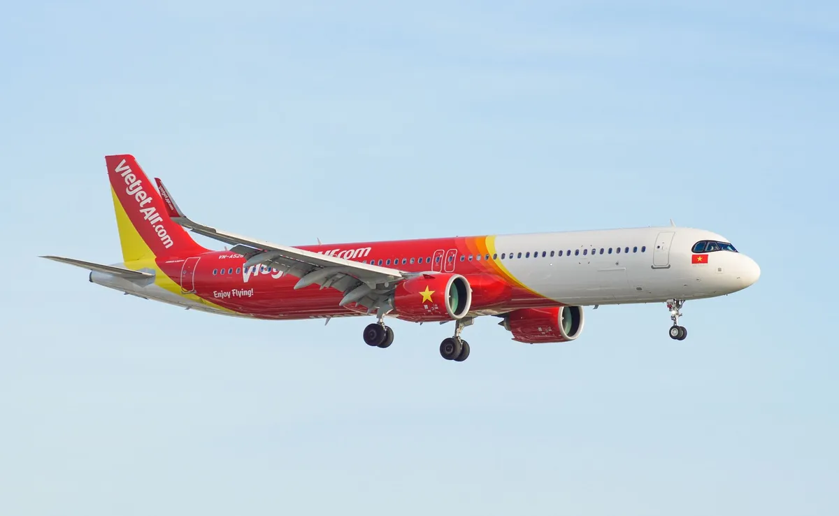 Bay quốc tế đến Việt Nam, vui lễ hội xuân cùng ưu đãi giảm 50% từ Vietjet - Ảnh 1.