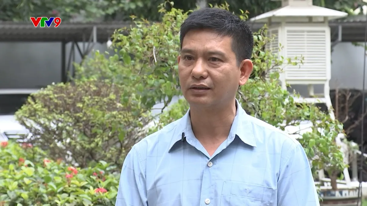 1701 PNHN-LE DINH QUYET-Thời tiết TPHCM se lạnh những ngày cận tết .jpg