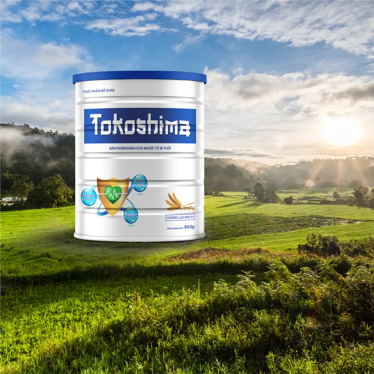 Tokoshima – Bí quyết từ thiên nhiên cho sức khỏe bền vững - Ảnh 3.