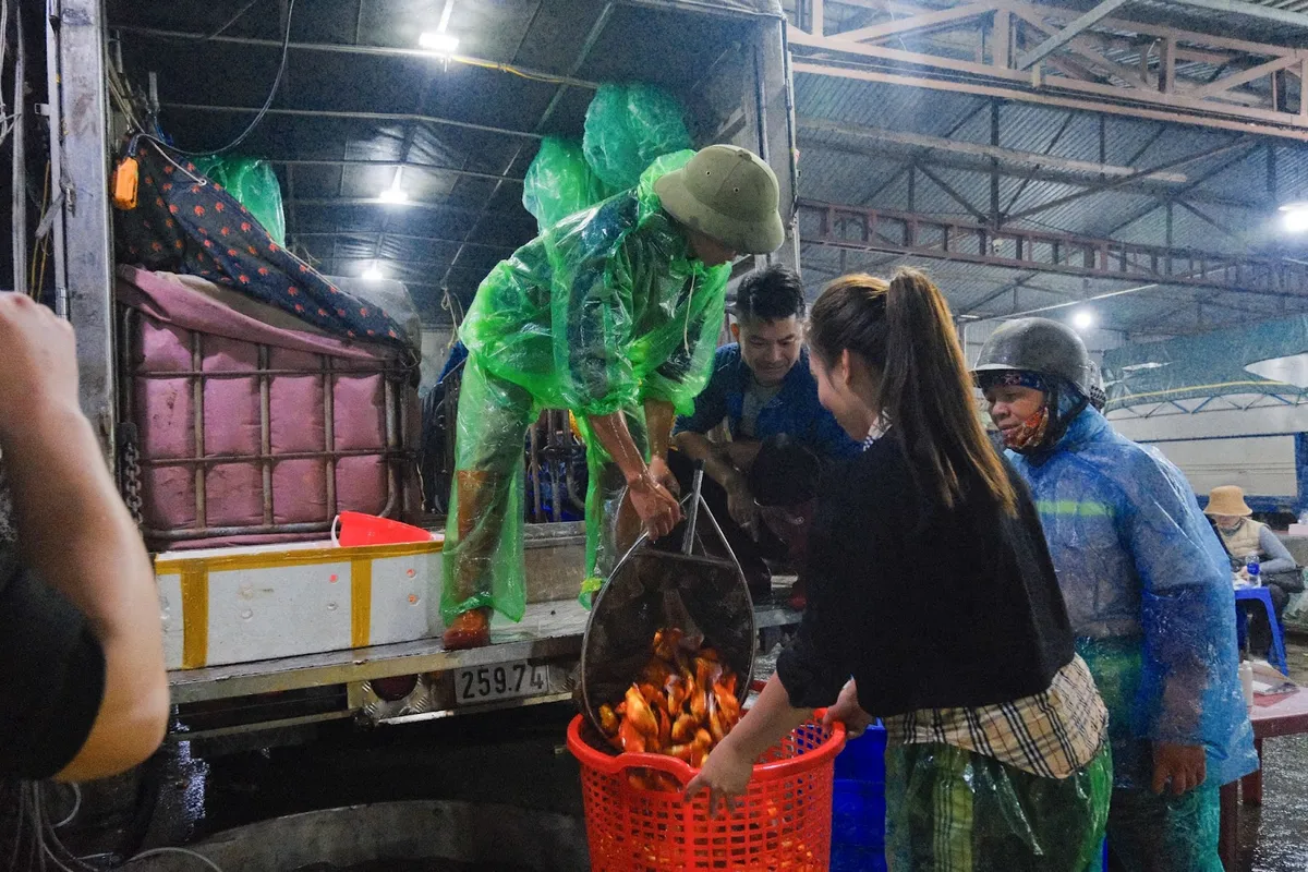 Tấp nập chợ cá Yên Sở ngày Tết Ông Công, Ông Táo - Ảnh 8.