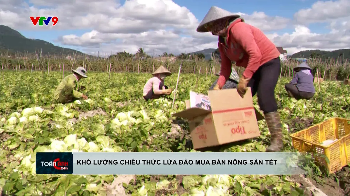 Khó lường trước chiêu thức lừa đảo mua báo nông sản Tết